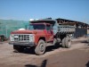 FORD 14000  TOLVA 8 M3 1989  cc a la venta en www.avisosdeautos.cl. Aviso Gratis enviado por EUGENIO FORMANDOY el 3/2/2010